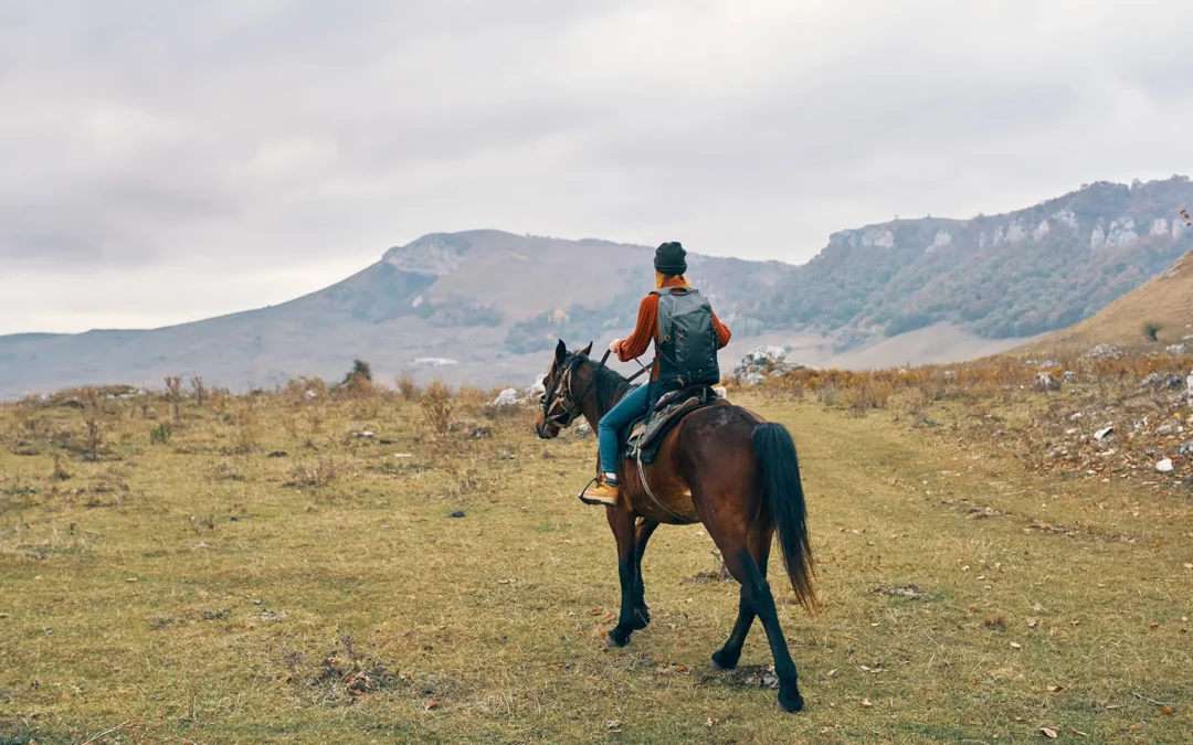 Séjour à la Montagne – Activité Cheval